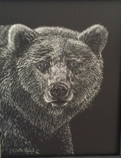 Grizzly Scratchboard