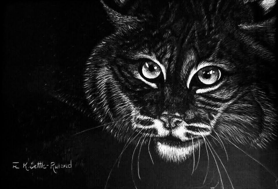 0BFC77EB-BF87-40E1-A808-99F3769751E8