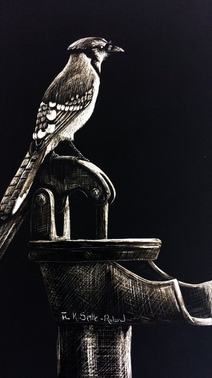 Settle Ruland-Kate-Blue Bird-5x7