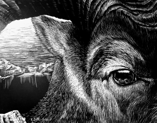 E847B50B-A948-4713-88B9-F5DF5A9F7A2C